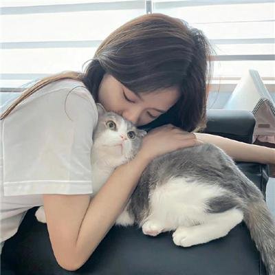 梅艳芳菲